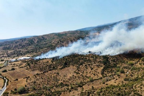 Çankırı'da orman yangını