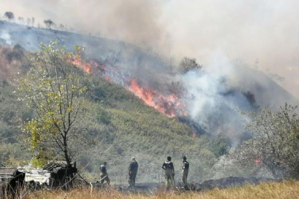 İstanbul'da orman yangını