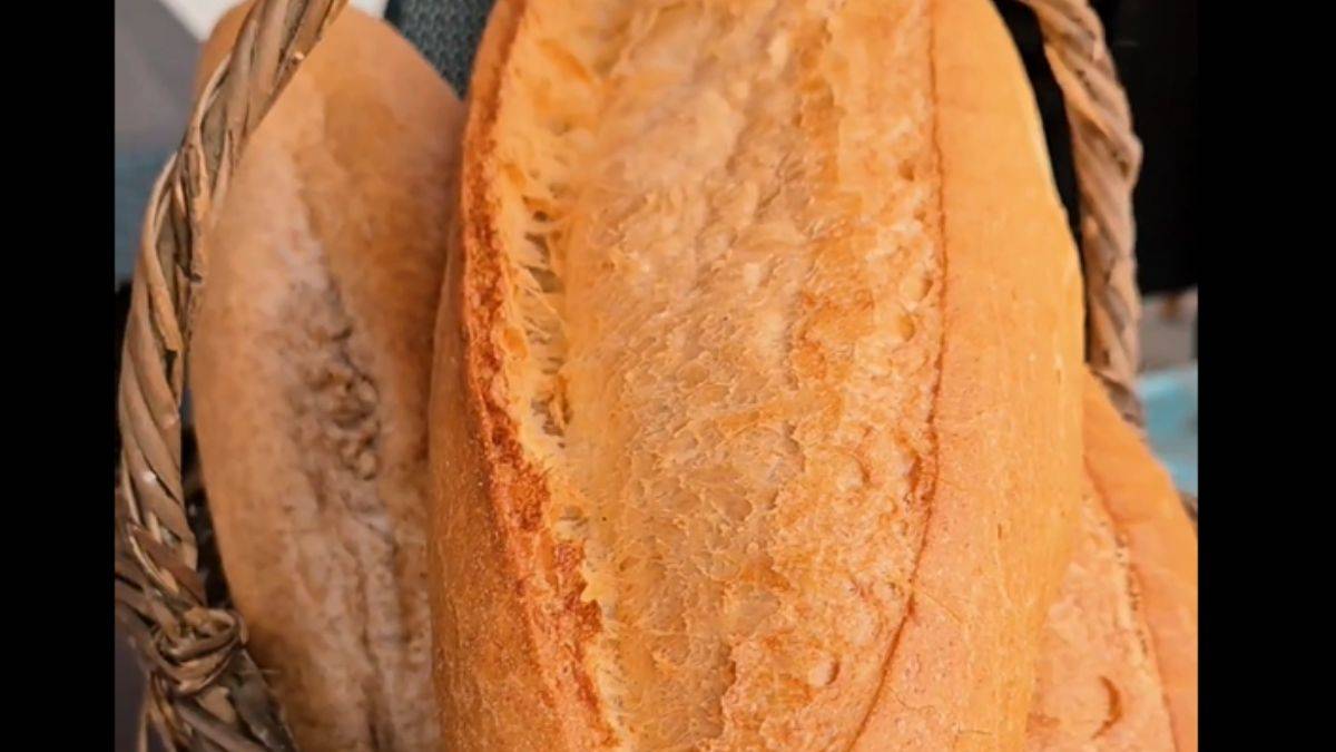 Ekmeye başlayınca ekmek bedava oldu