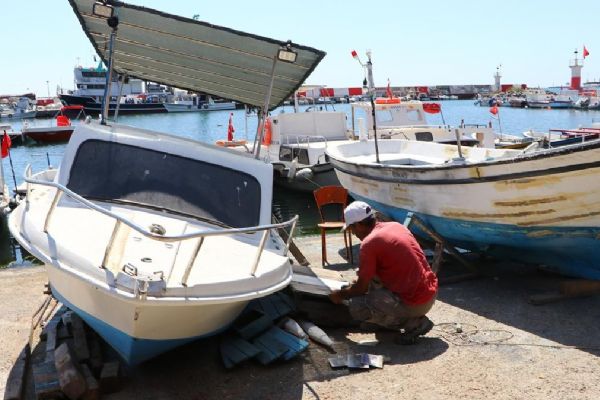 Tekirdağlı balıkçılar bu sezonda hamsi ve lüferden umutlu