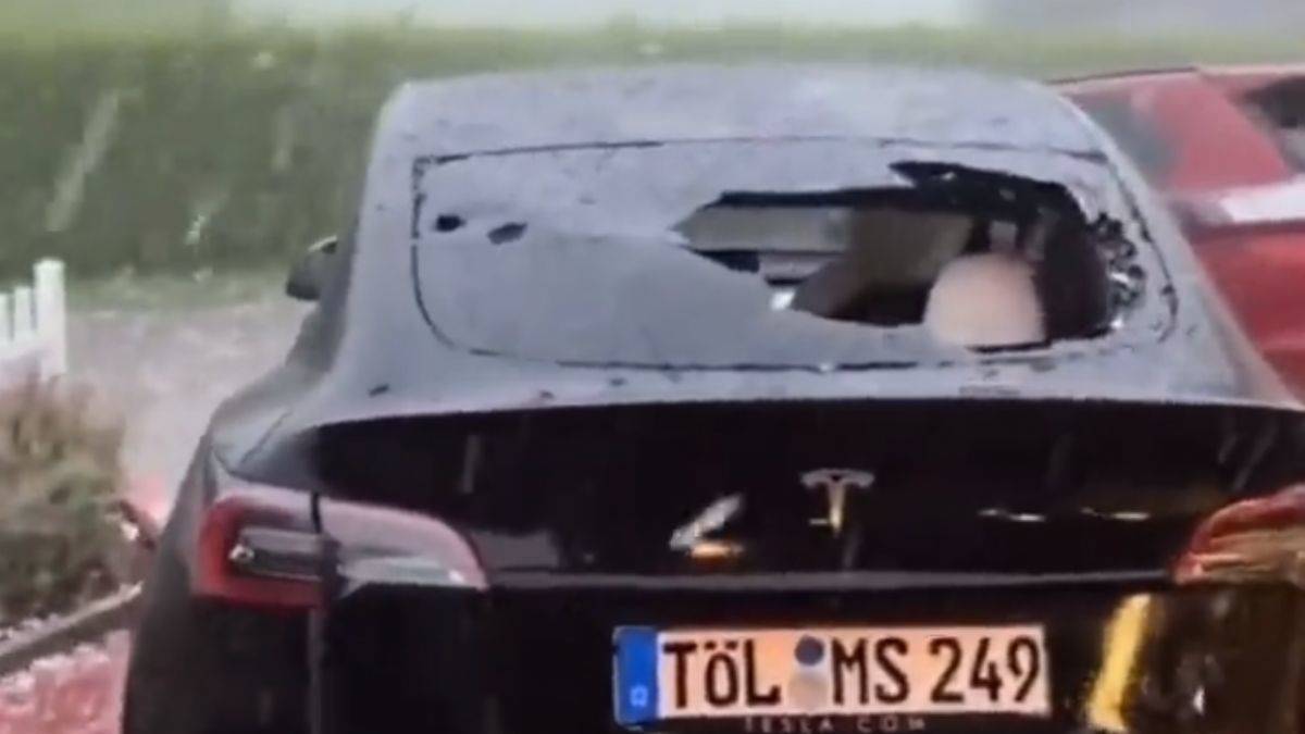 Almanya'da dolu yağdı, hayvanlar öldü