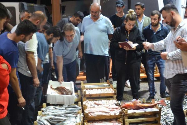 Kocaeli'de yeni sezonda balık halindeki ilk açık artırma yapıldı