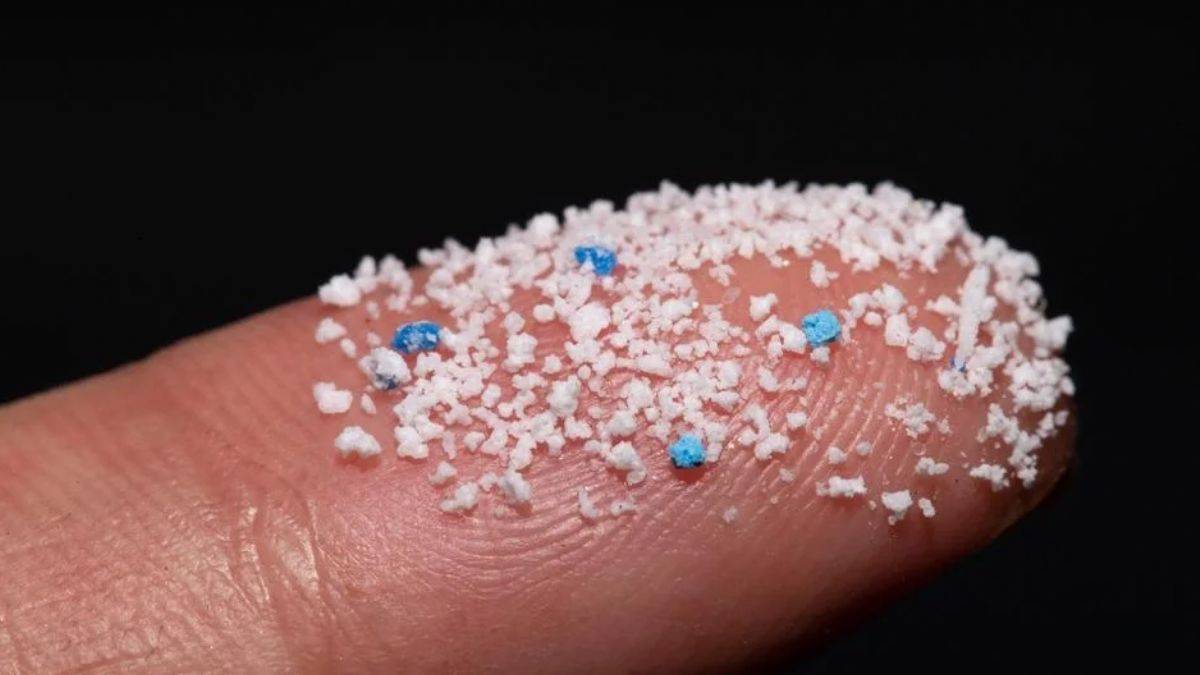 Beyne giden mikroplastların korkunç zararları