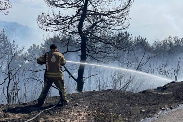 İstanbul Maltepe'de orman yangını çıktı