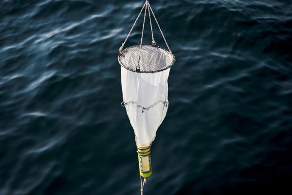 Marmara Denizi için çarpıcı araştırma! Bilim insanları ortaya çıkardı