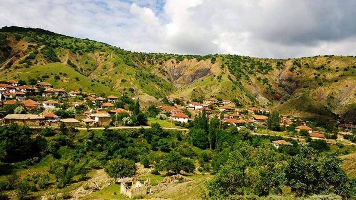 'Ağaçlara zarar' tartışmasında karı-kocayı öldürüp intihar etti