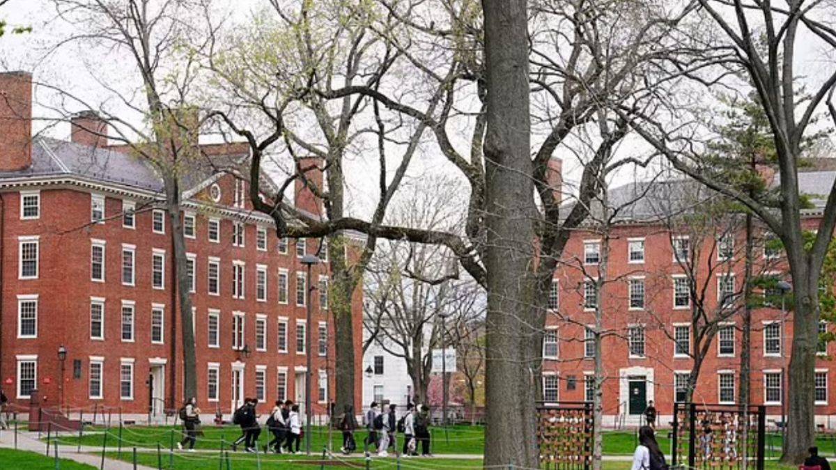 Dünyanın en iyi ikinci üniversitesine 'sıfır' puan