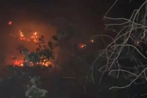 Muğla'daki yangında 1 hektar ormanlık alan zarar gördü