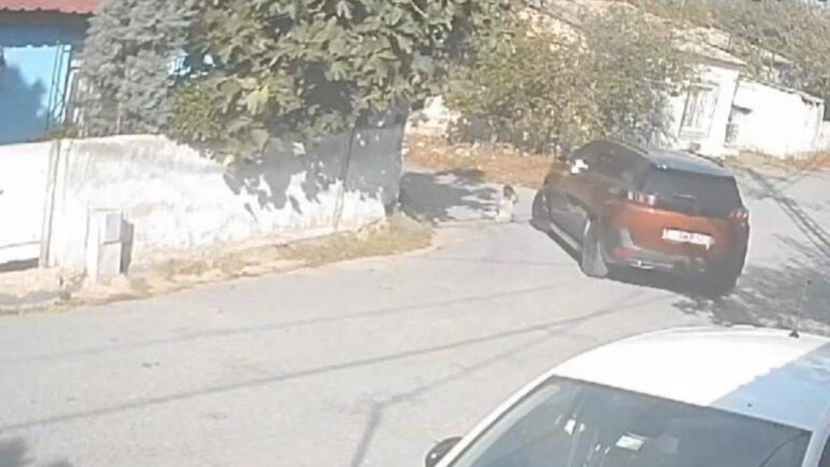 Sokakta kedi seven 2 yaşındaki çocuğu ezdi