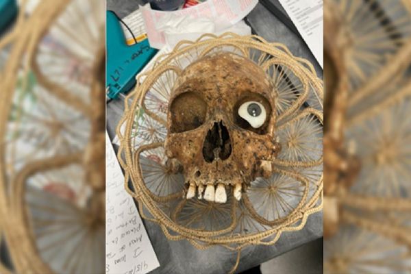 Bağış kutusundan insan kafatası çıktı! ABD'de şaşkına çeviren olay