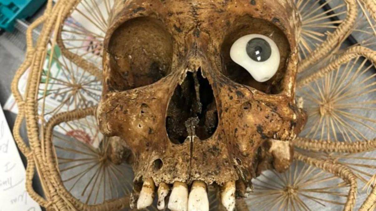 Bağış kutusundan insan kafatası çıktı