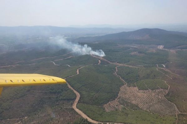 İzmir Torbalı'da ormanlık alanda yangın çıktı