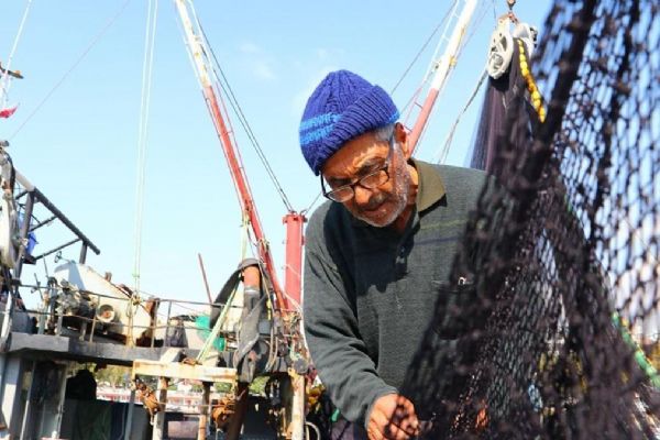 Av sezonunun açılmasıyla Karadenizli balıkçılar bereketi yakalıyor