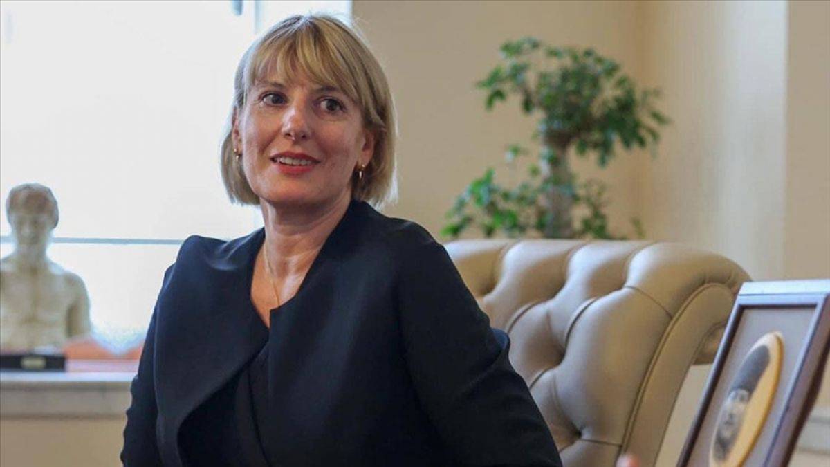 İngiliz Büyükelçi Morris: Türkiye'de her şey var