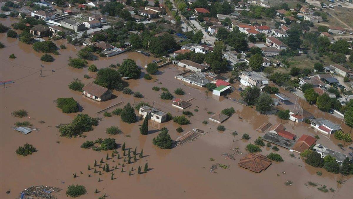 Yunanistan telef olan hayvanları imha ediyor
