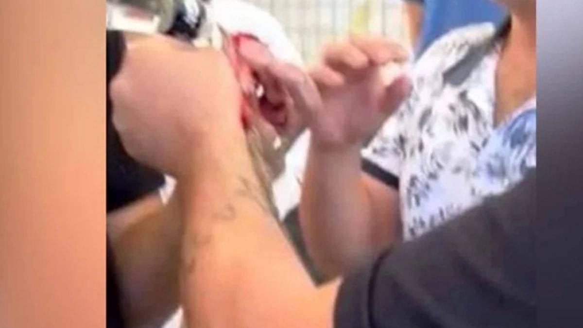 Düğünde horoza içki içirenlere ceza