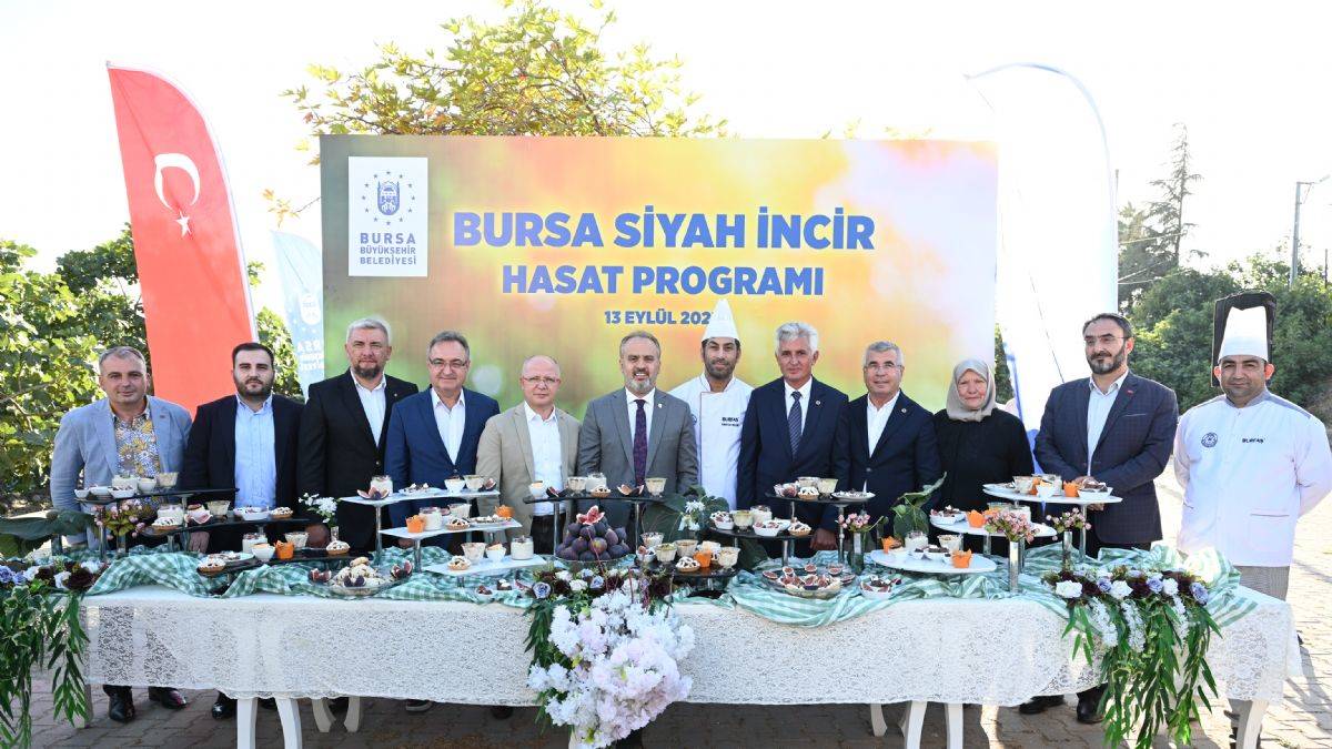 Bursa’nın 'Siyah incisi’nde hasat başladı