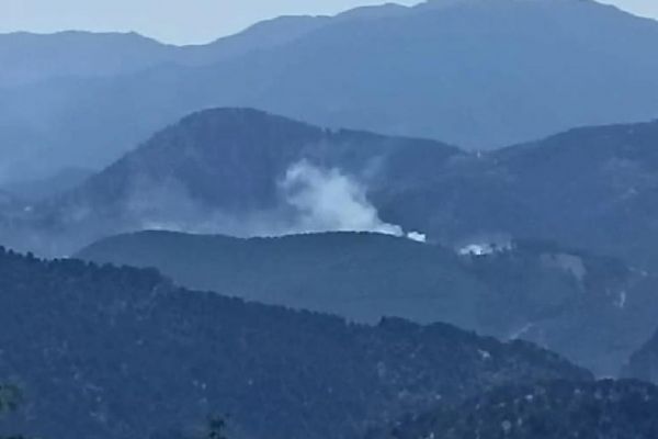 Adana'daki yangına havadan ve karadan müdahale ediliyor