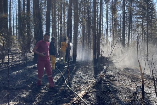 Gerede ve Kızılcahamam'da yangınlar kontrol altında