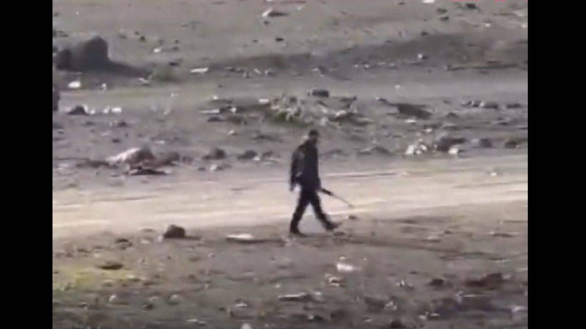 İstanbul’da yemek için leylek avladılar