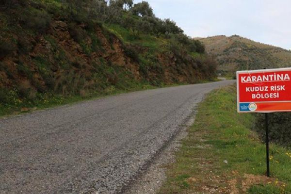 Artvin'de 3 köyde kuduz karantinası!