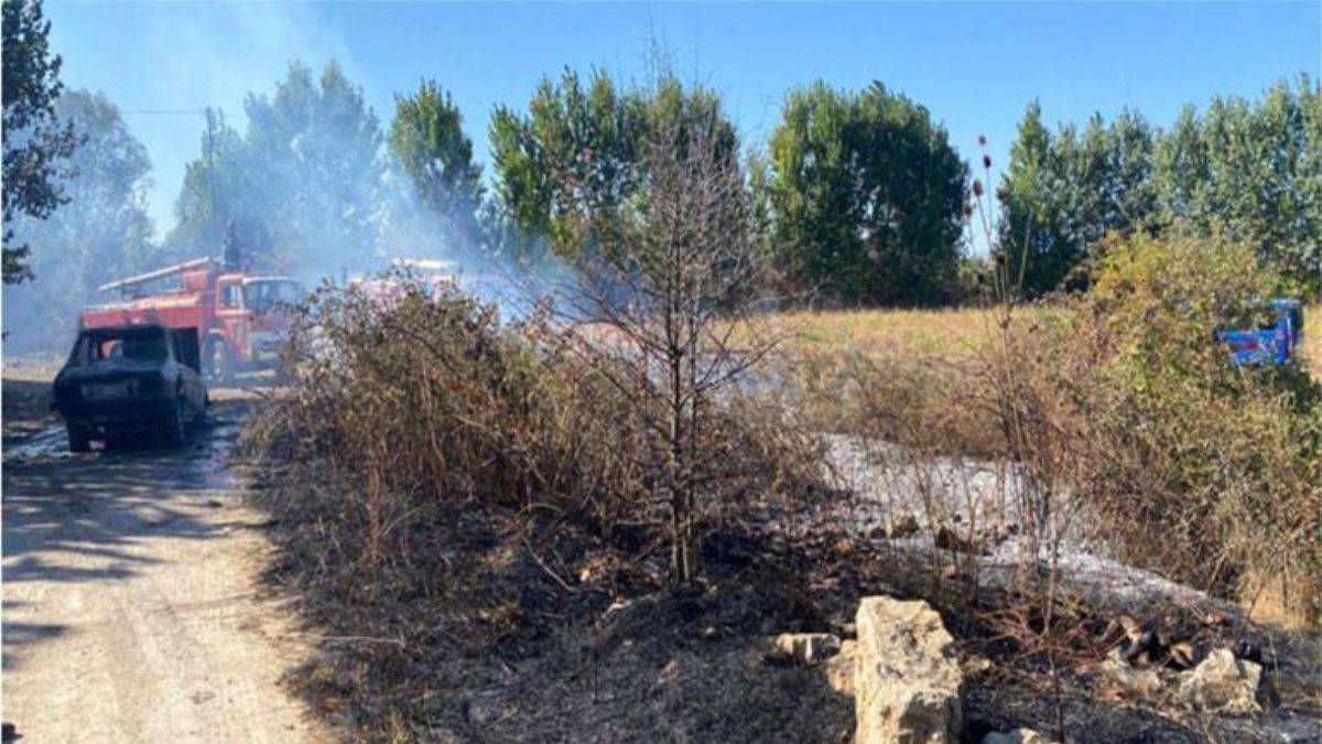 Taşla öldürüp cesedi koyduğu aracı ateşe verdi