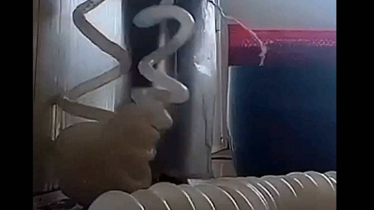 Mide bulandırdı! merdiven altı kokoreç-sucuğa dikkat