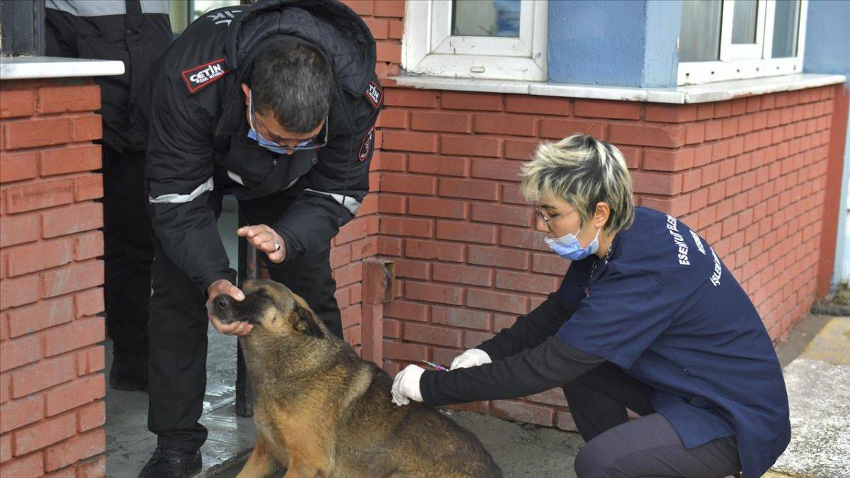 'Esenyurt'ta Kuduz Paniği' paylaşımlarına ilişkin açıklama