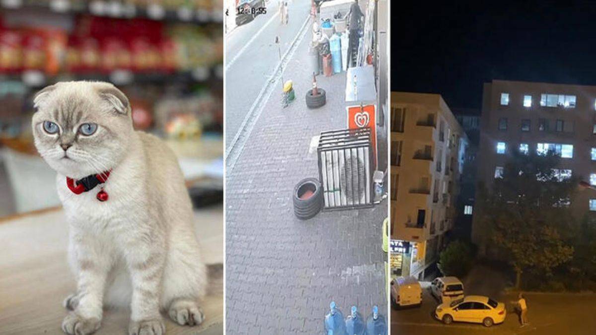 Sokakta silahlı kedi kavgası; 1 yaralı