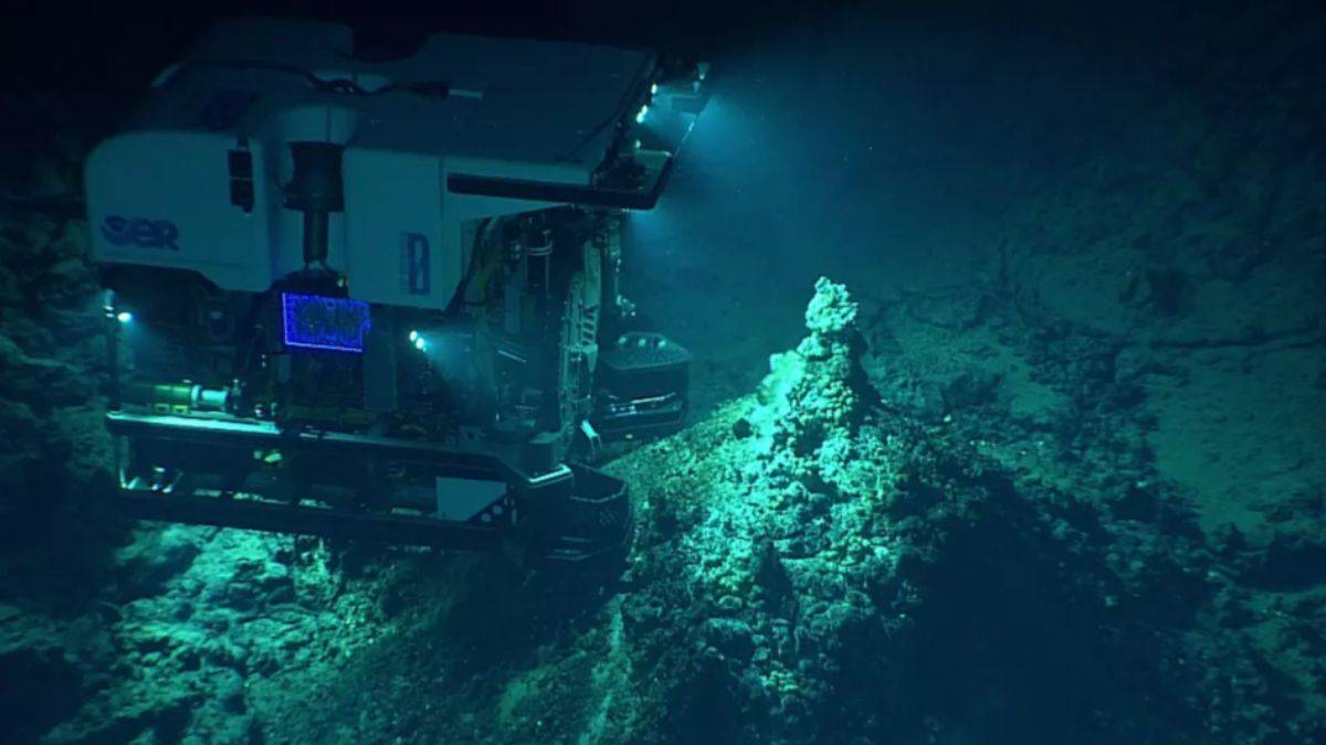 Mariana Çukuru'nda yeni virüs keşfedildi