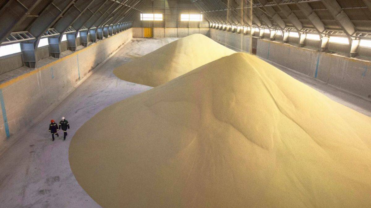 ABD rekor miktarda Rus gübresi satın alıyor