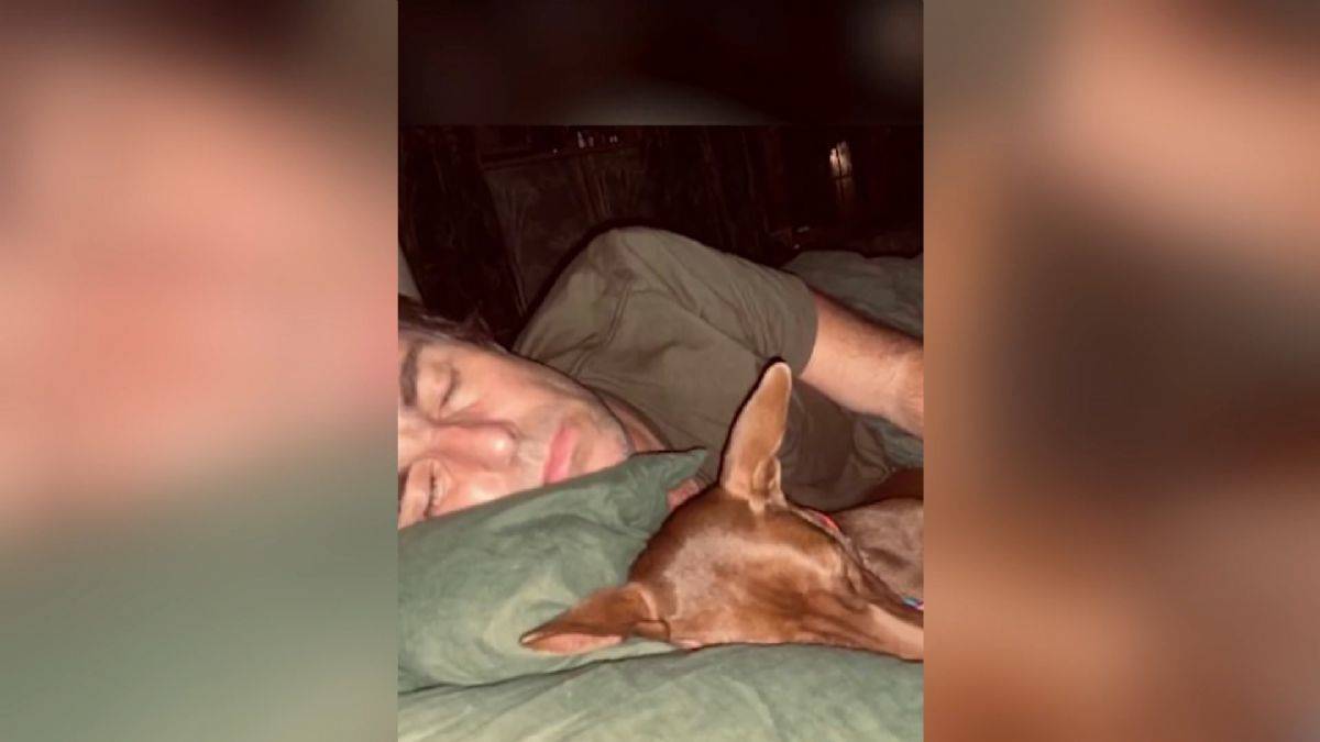 Tayland'ın şanslı sokak köpeği; ünlü rockçı sahiplendi