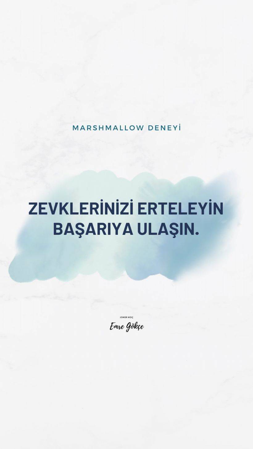 'Zevklerinizi erteleyin başarıya ulaşın'