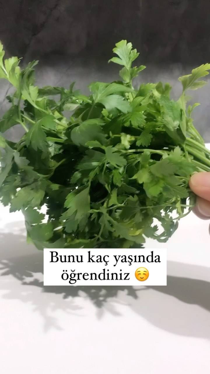 Maydanoz tazeliği için ipuçları