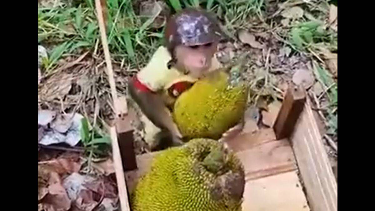 'Sigortasız çalıştırılıyor'