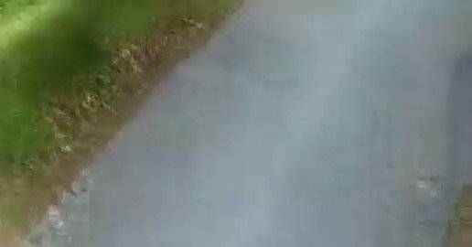 Romalılar köprüyü böyle inşa ediyor