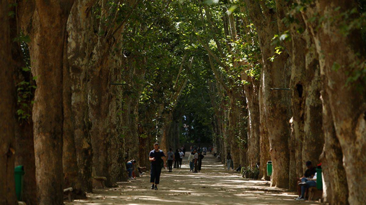 Cezayir'in doğa harikası bahçeleri