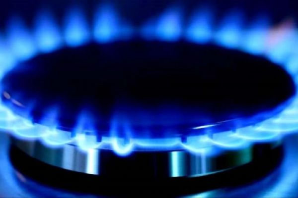 Uzmanlar uyardı: Çürük sarımsak kokusu alırsanız elektrik düğmesine basmayın