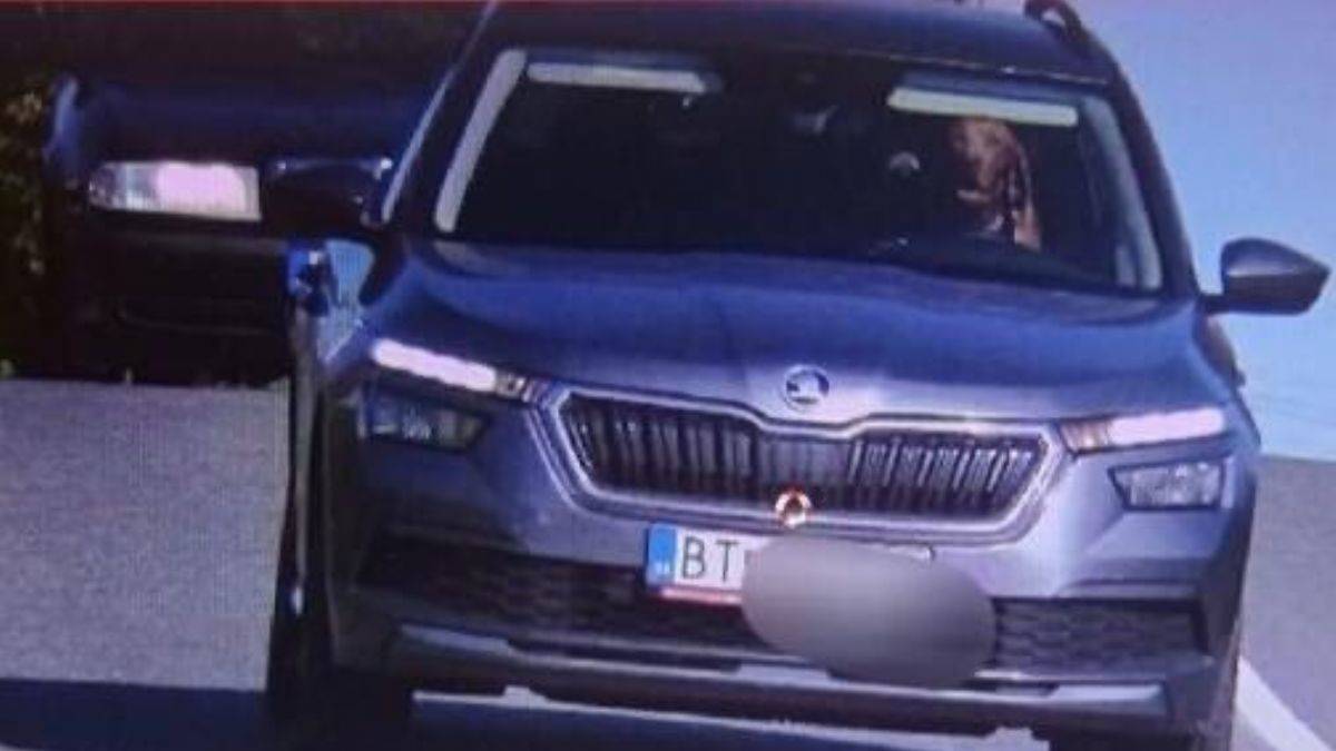 Sürücü koltuğunda köpek! Polise ceza kesti