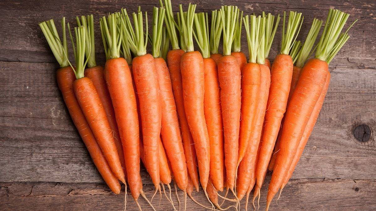 Havuca turuncu rengini veren 3 gen keşfedildi