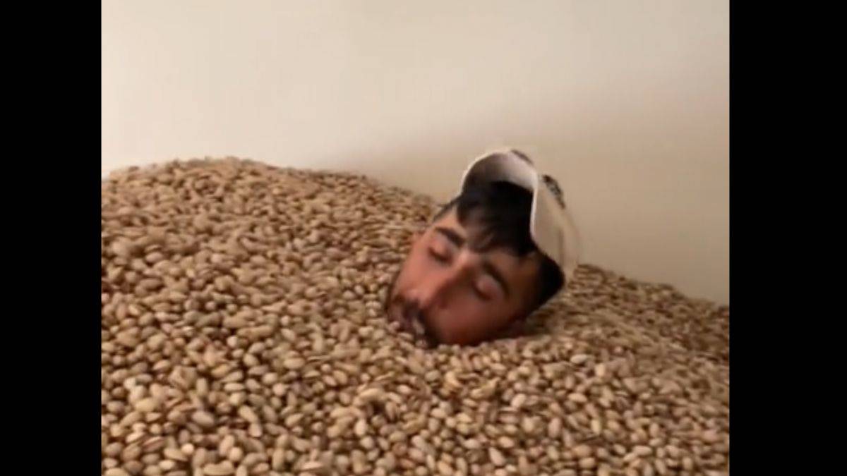 Fıstıkların içinde poz veren şahıs gözaltına alındı