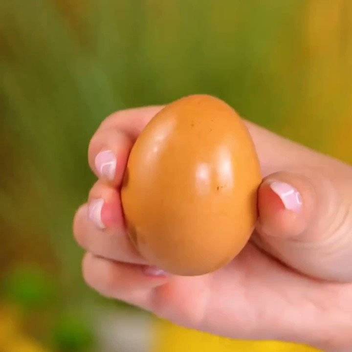 İnanılmaz bir bitki yetiştirme yöntemi