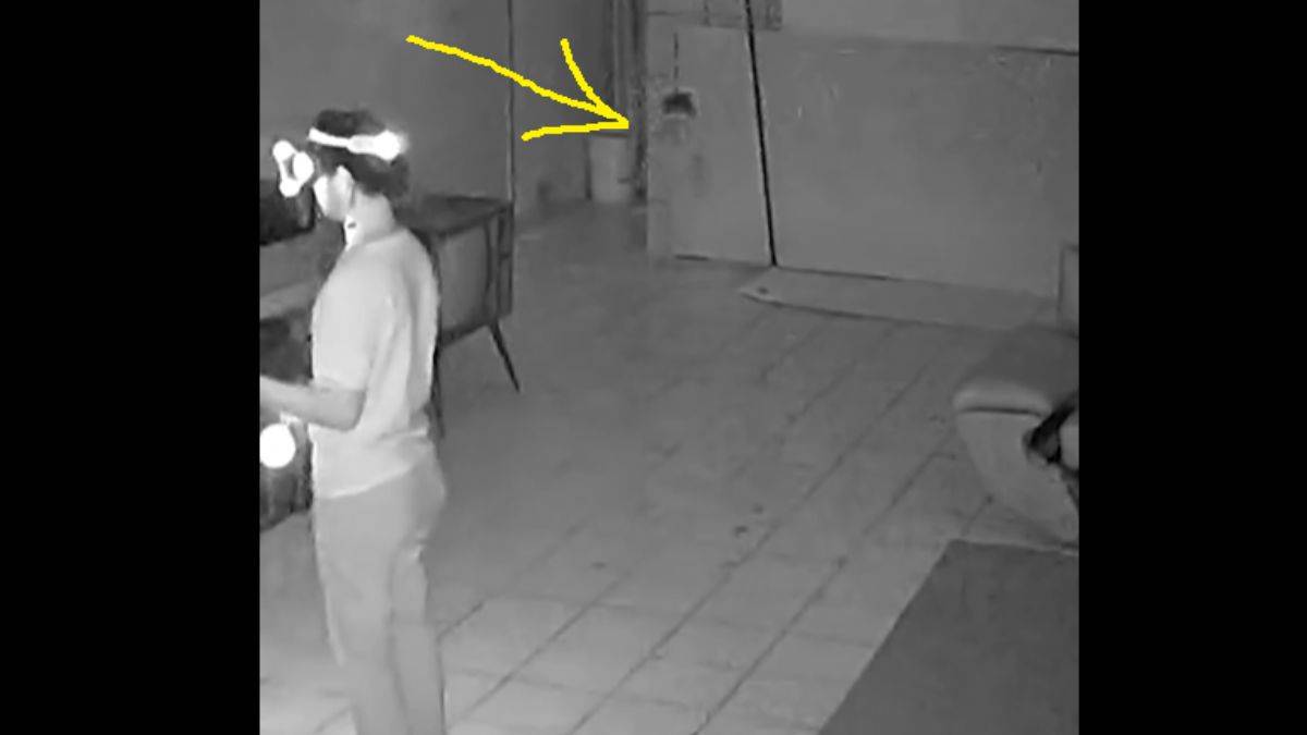 Kameranın kaydedip kimsenin görmediği şey şaşırttı