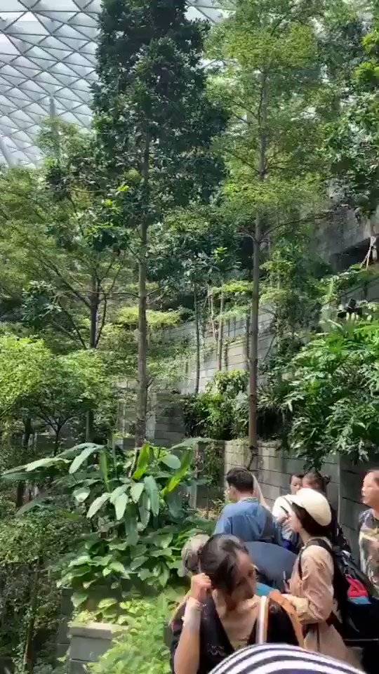 Harika çatı tasarımı