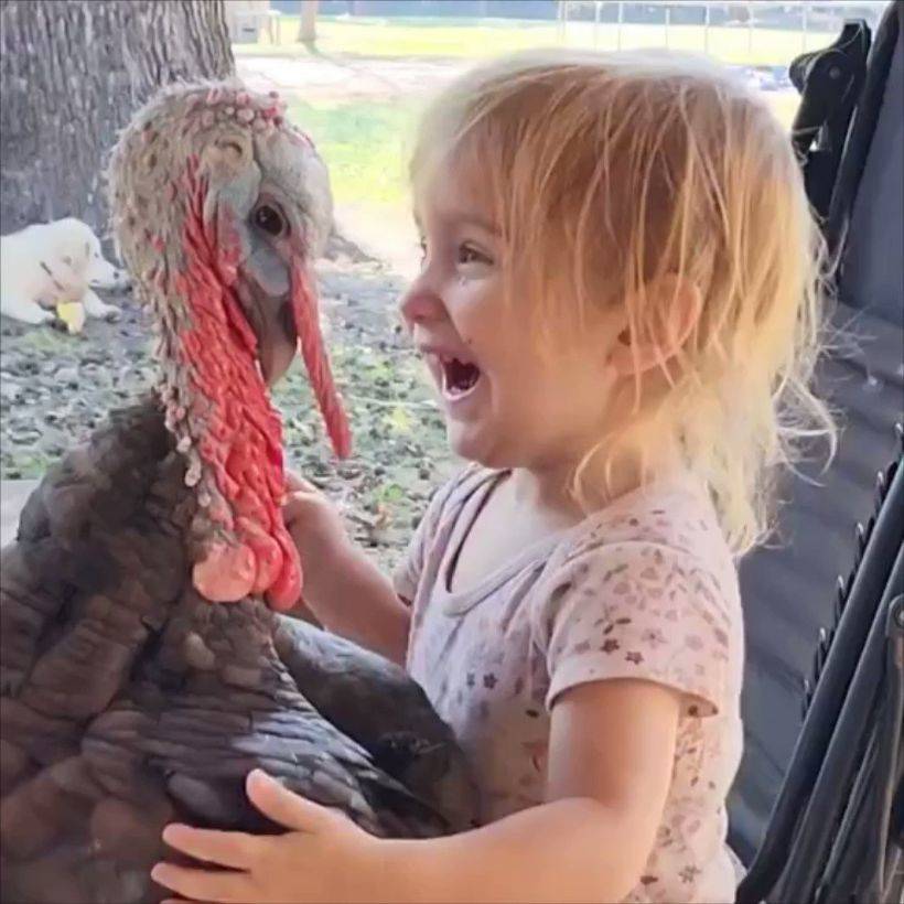 Hindi ile küçük çocuğun sevimli halleri