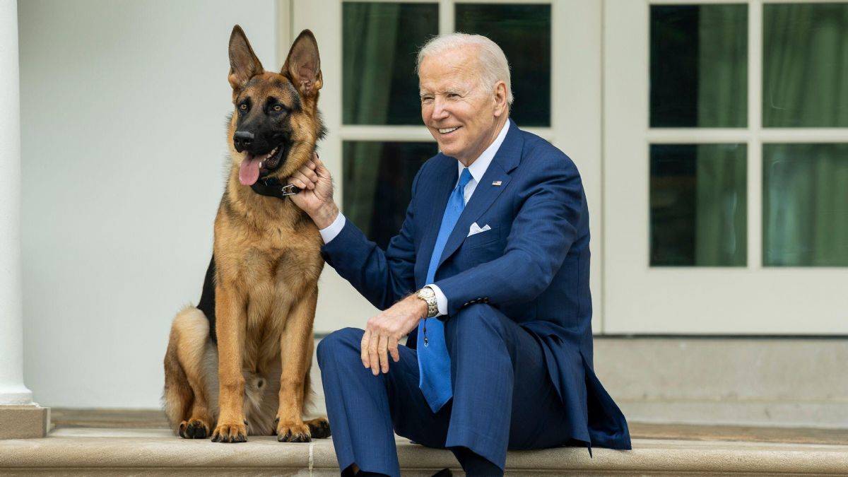 Biden'ın köpeği Beyaz Saray'dan kovuldu