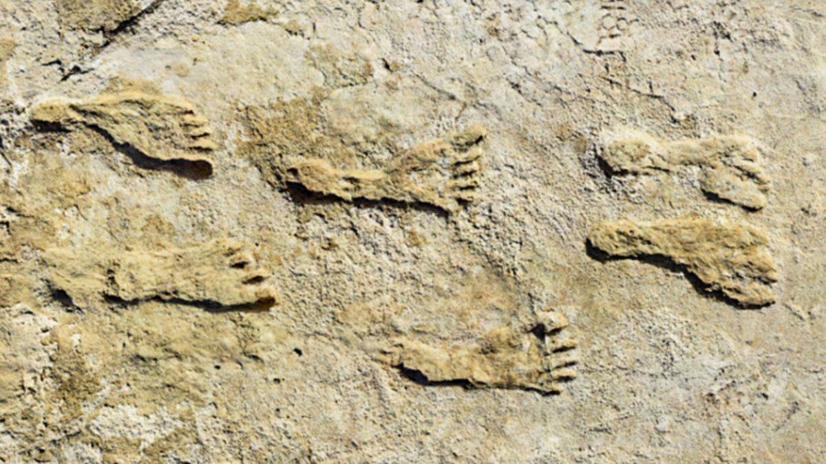 Amerika kıtasına binlerce yıl önce gidildiği tespit edildi