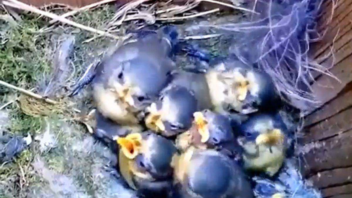 İnsanın içini ısıtan görüntüler