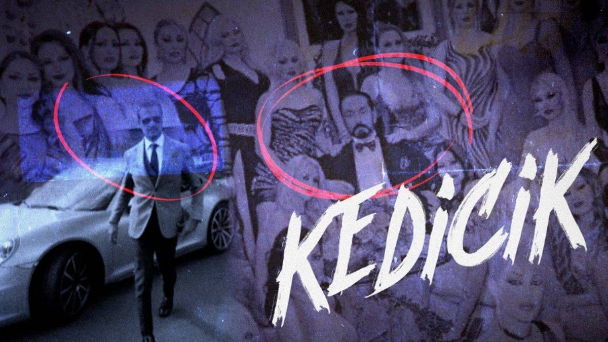 'Kedicik' belgeseli silindi mi? Neden yayından kaldırıldı?