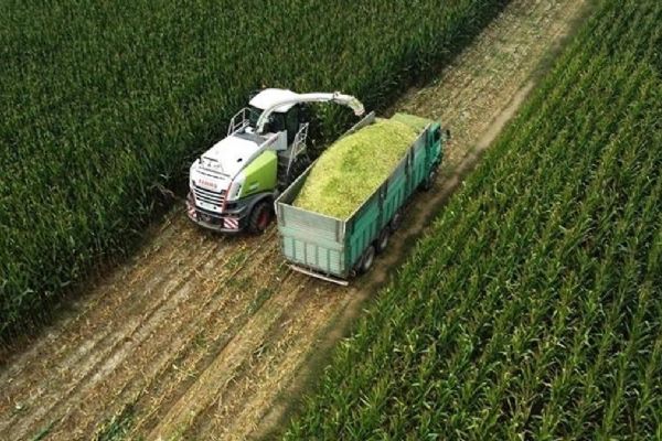 TÜİK açıkladı: Tarım ÜFE eylülde artış gösterdi